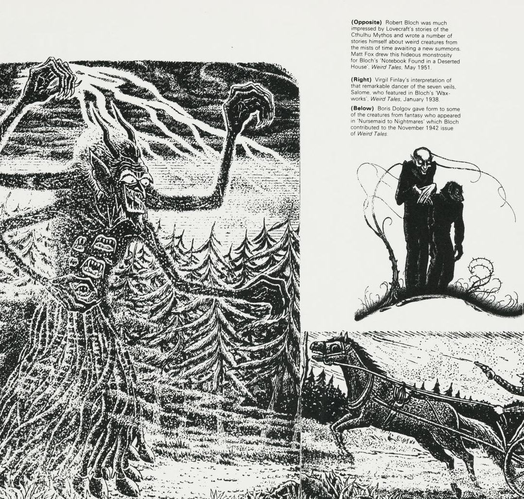 kloudbug tweet media