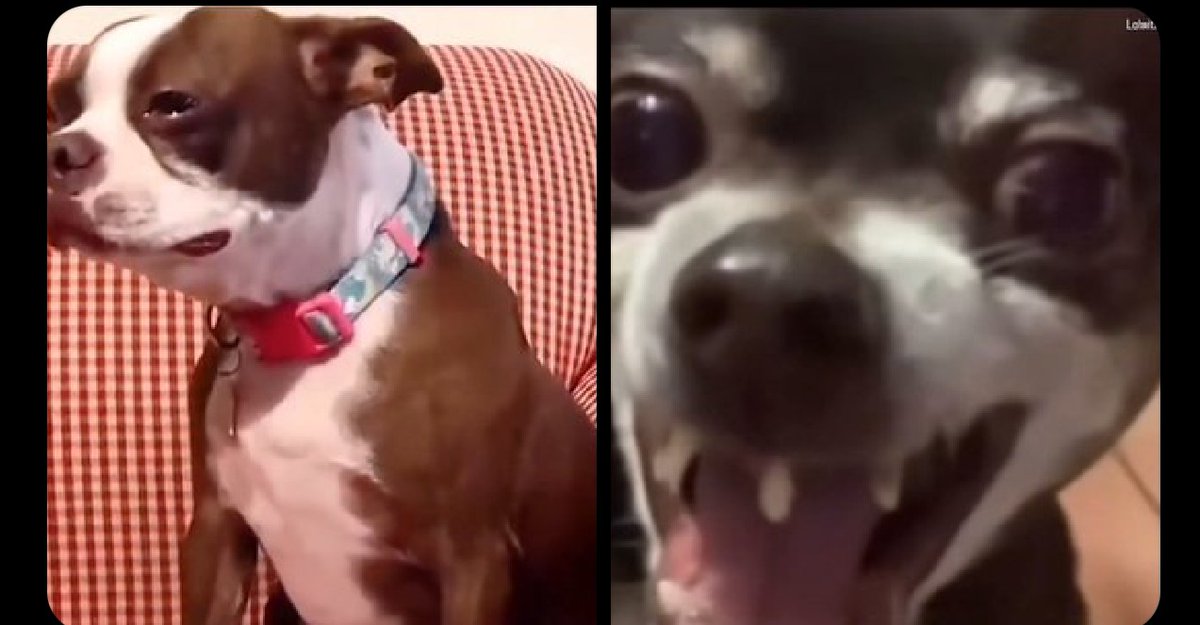 Me:  Babe what do you want for valentine?            Money, flowers or a dress?
Her:  Money
Me:   I also want money

Her:                                             Me: