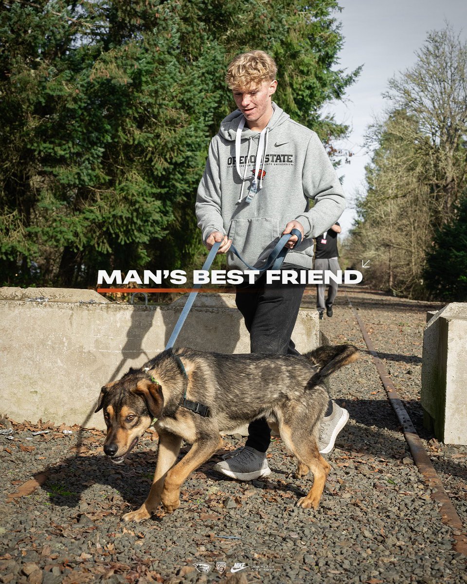 Oregon State Football tweet media