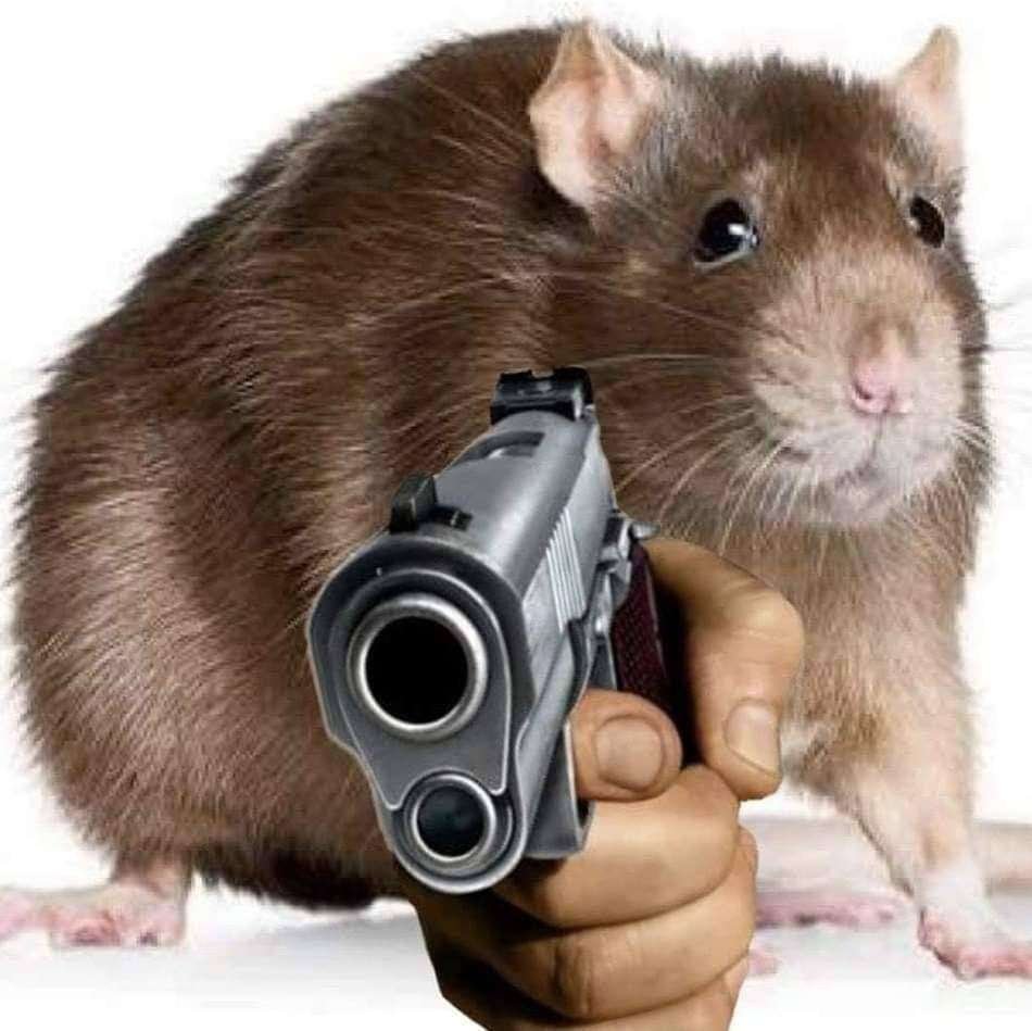 Get Ratoned