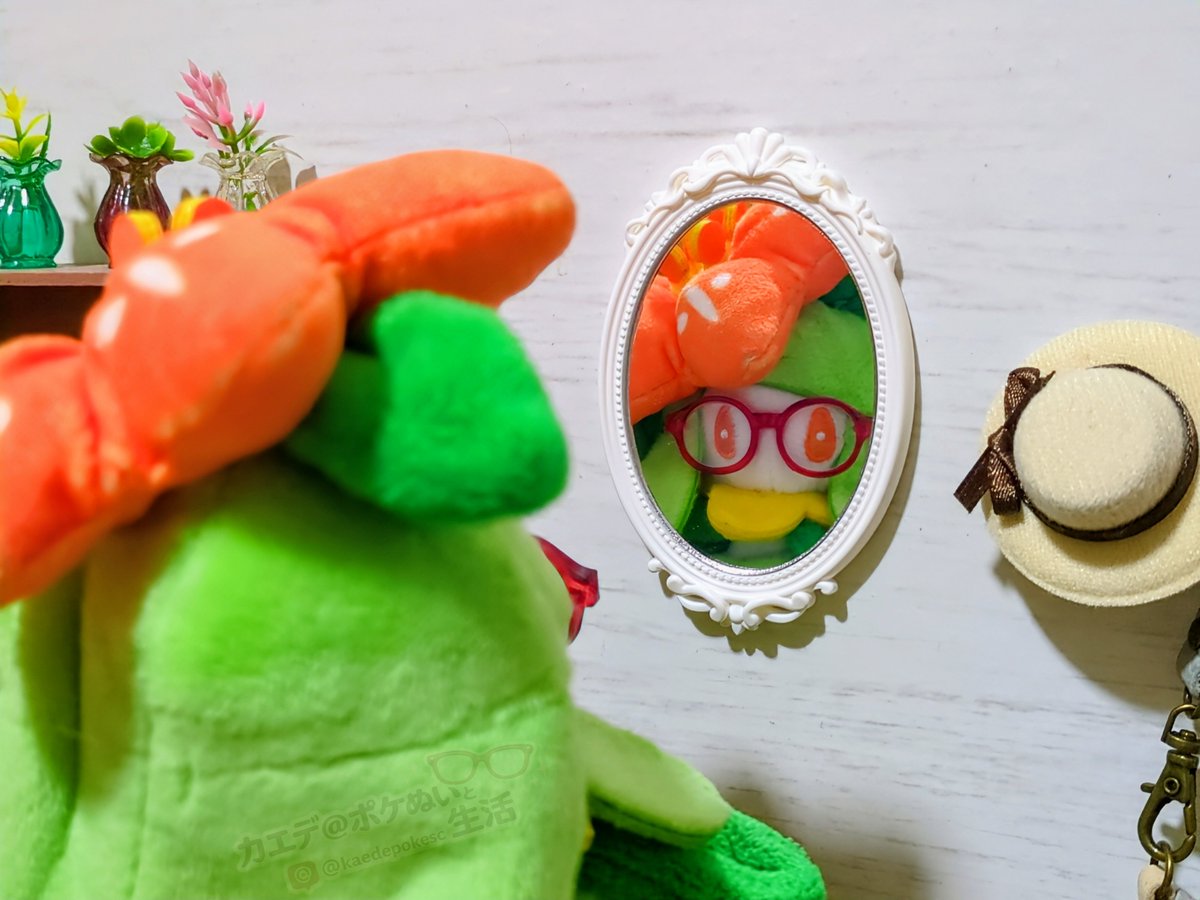 鏡よ鏡よ鏡さ〜ん
世界で一番可愛いのは誰ですか〜？
#ポケぬい