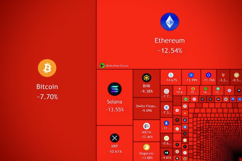 Rocco Saldarriaga tweet media