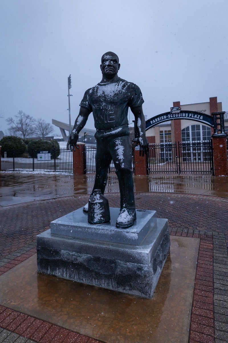 Georgia Southern Football tweet media