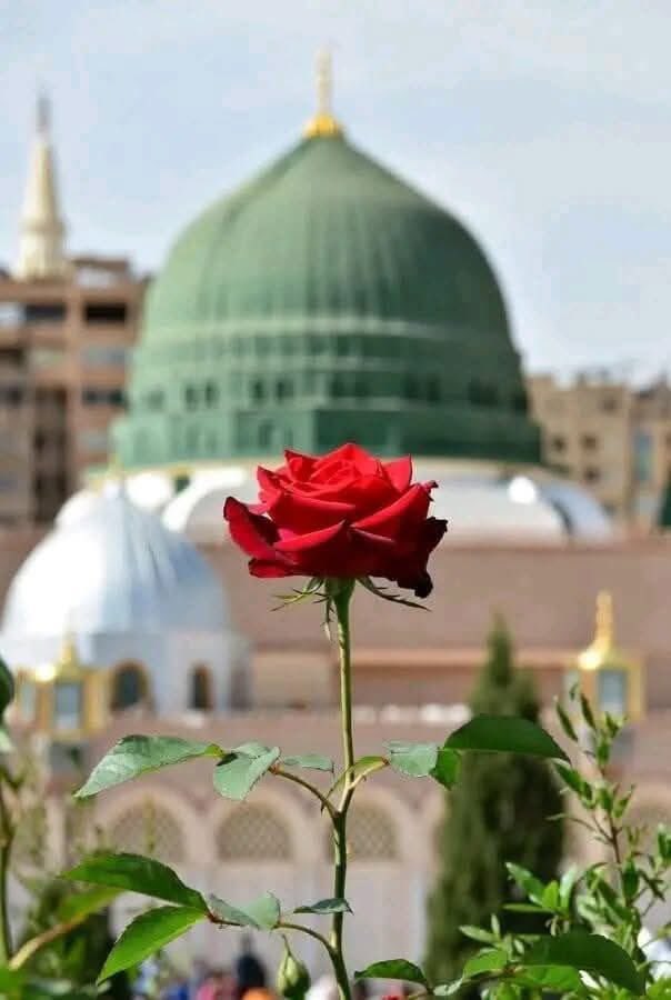 SeerahOfRasool's tweet photo. The Sahaba witnessed that guidance is not forced — it is gifted by Allah. 

Related Quranic Verse:

"Indeed, Allah guides whom He wills to a straight path." — Quran 2:213 

Join us 
https://t.co/7qzbpksabd

Telegram

https://t.co/MyLPxb6PMA https://t.co/mL6YUfvoUt