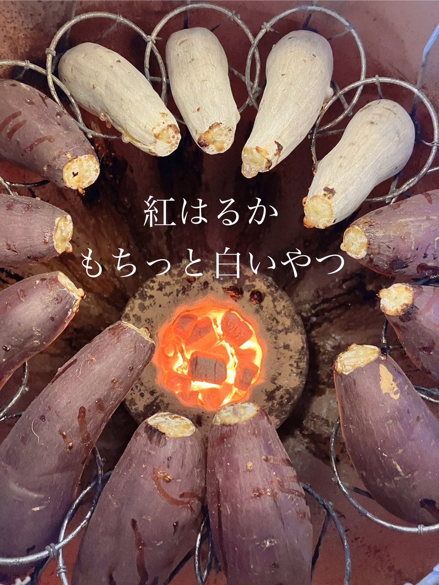 chaimoya_driver's tweet photo. 2月1日 おはようございます
平塚の壺焼き芋専門店ちゃいも屋です
今日も5種類 
お芋旨く焼いてお待ちしています😄
ねっとり 紅はるか
しっとり シルクスイート
もっちり 栗かぐや
ホクホク 紅あずま
もちっと 白いやつ
甘さの推しうり
#壺焼き芋専門店ちゃいも屋 #焼き芋 #平塚市 https://t.co/seiHM6JiKe