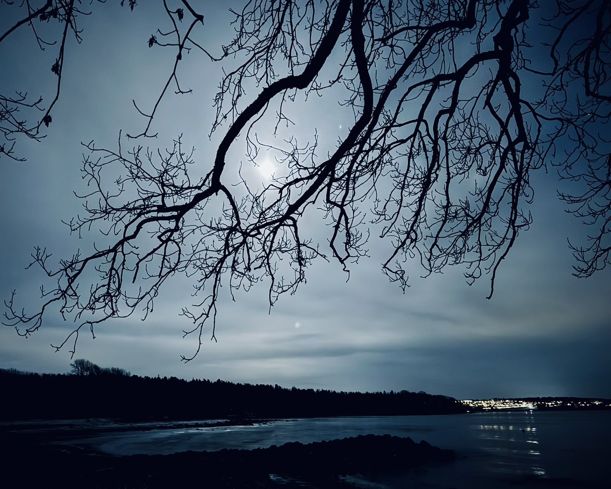 David Sandum tweet media