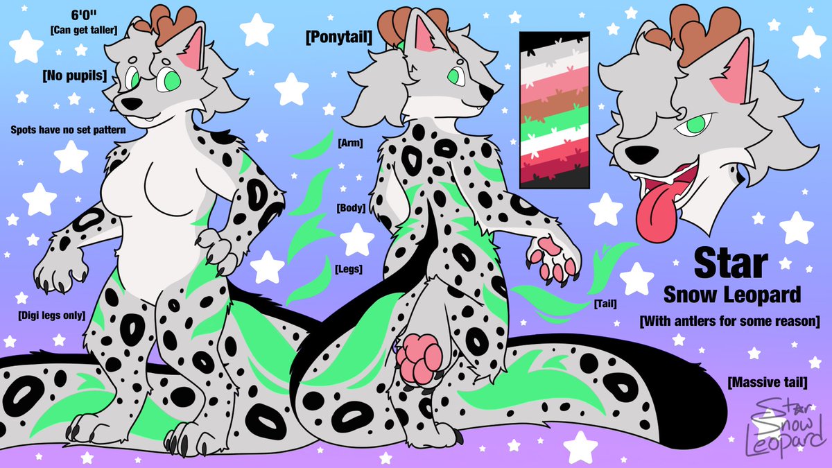 StarSnowLeopard 🔜 Furdu tweet media