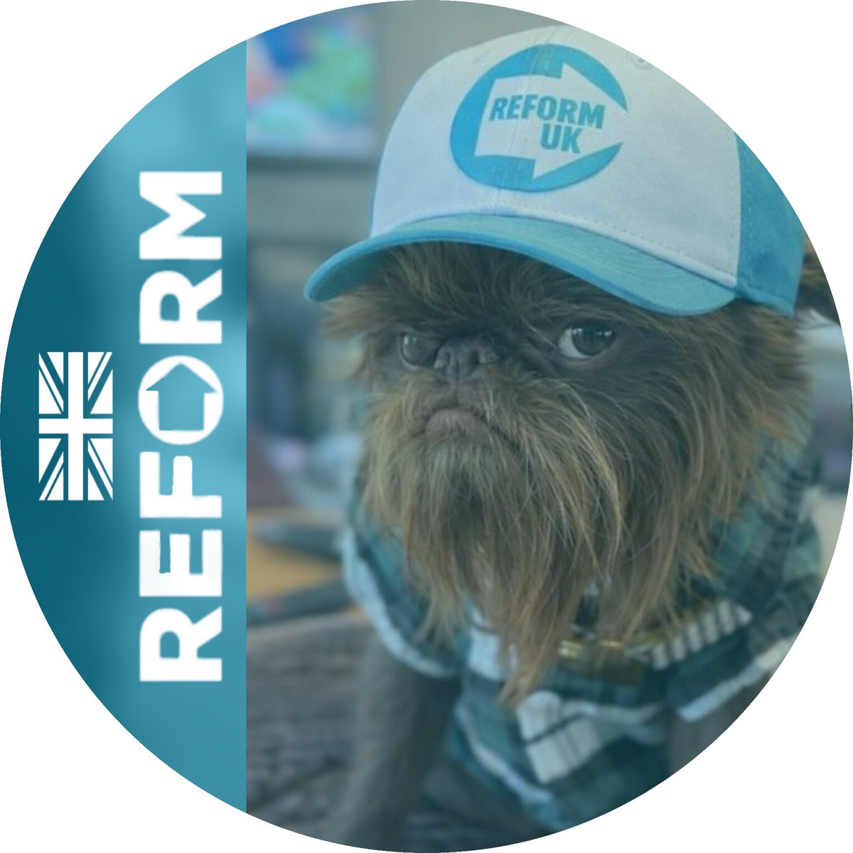 iThinkItsGone's tweet image. #NewProfilePic