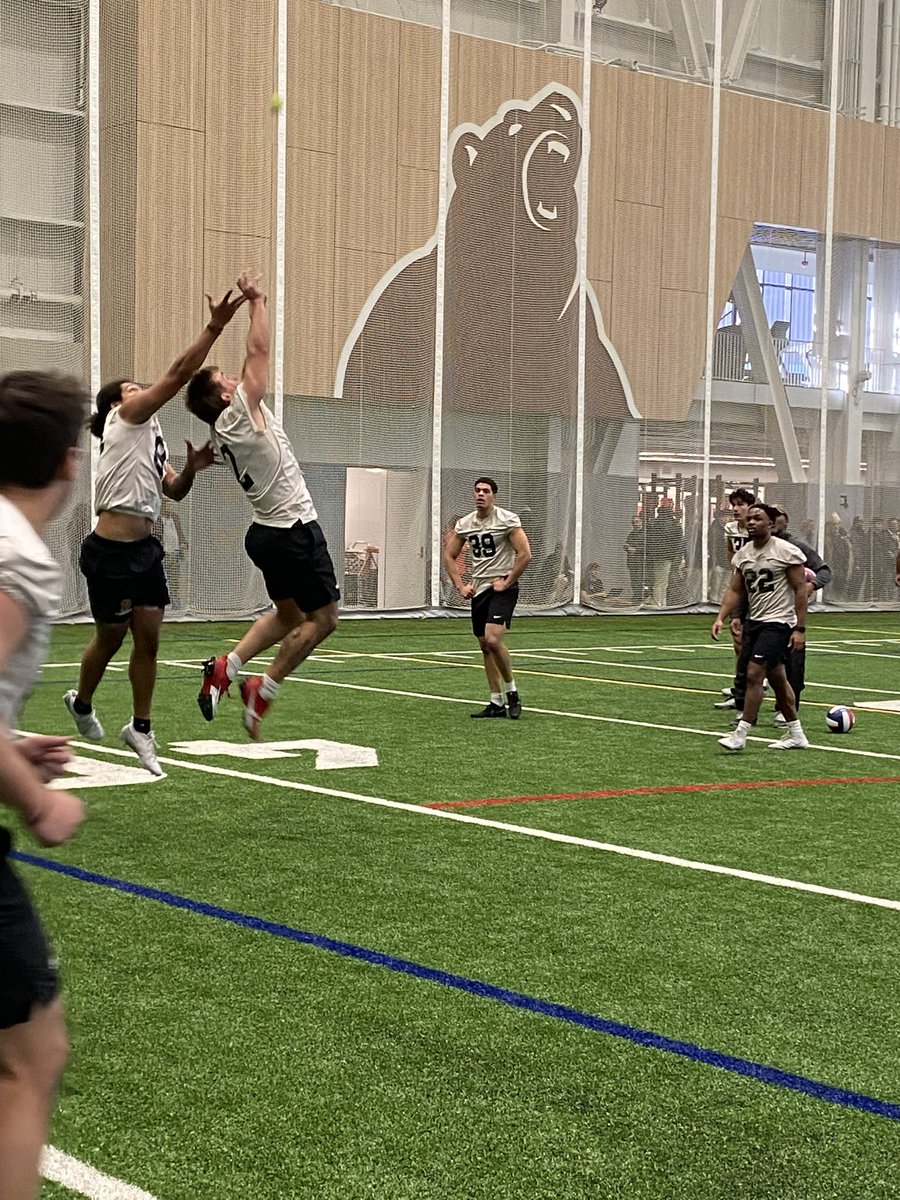 Brown Bears Football tweet media