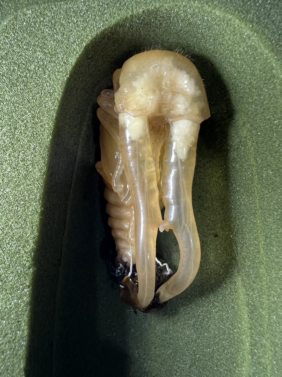 ama chan (@amachan18387914) / Posts / X