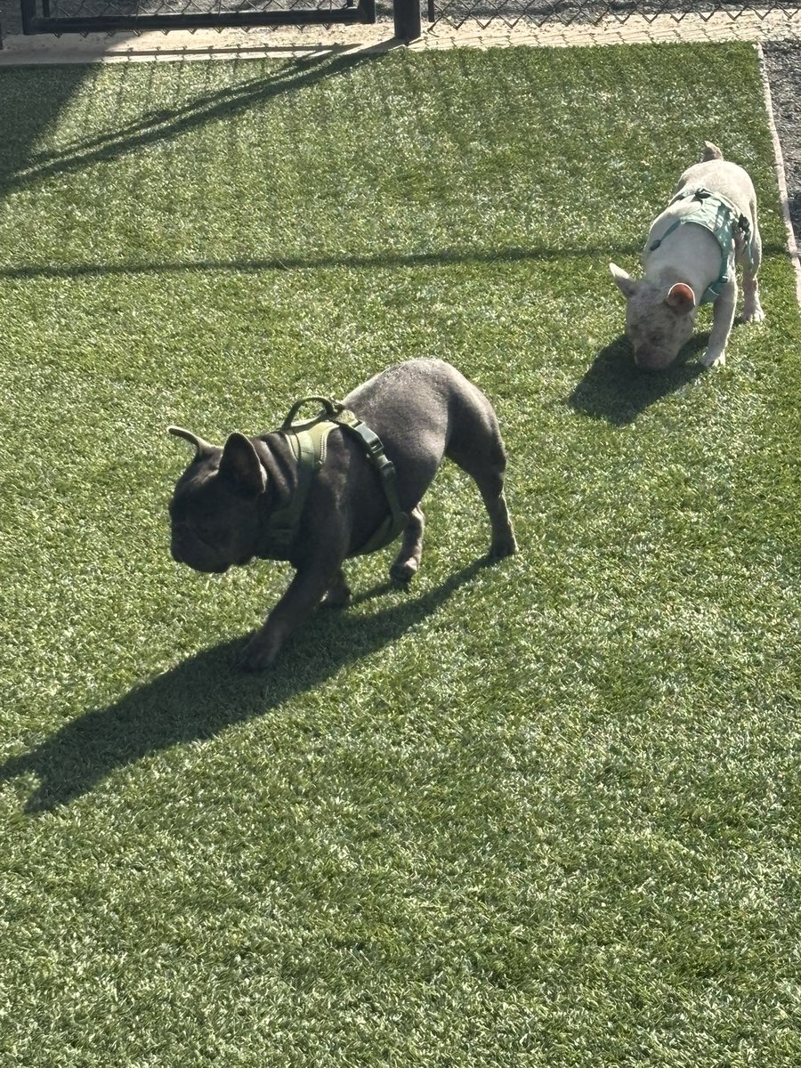 Who’s active let’s connect and build 🧱