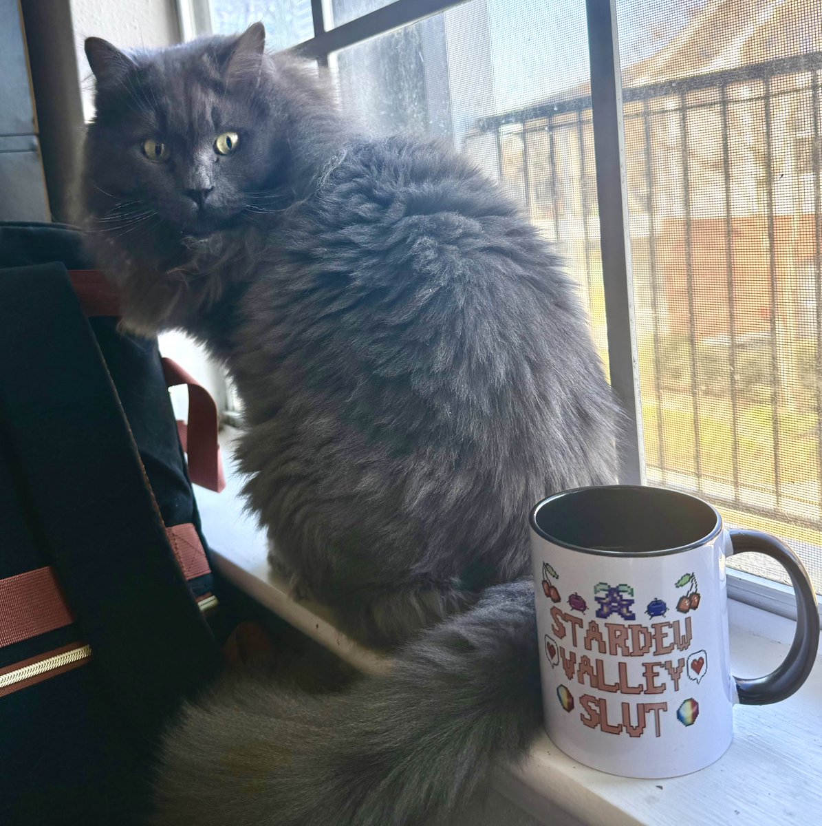 🐟Keewa | Fish Lady | Can’t Read 🐠 tweet media