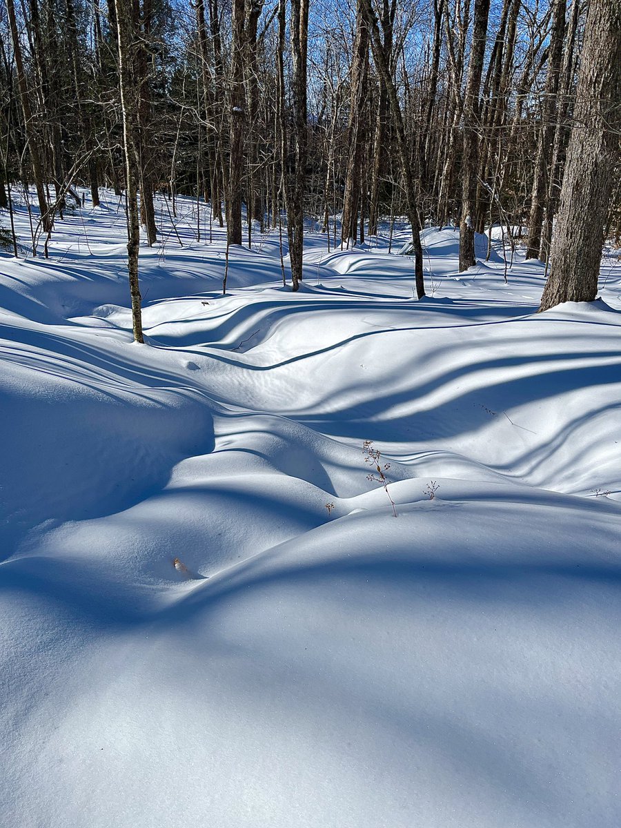 KVohs333's tweet photo. Long hiking break following an illness &amp; a family death, so nice to get out on a sunny day in the low teens to trudge through 2+ feet of snow. https://t.co/rYGSMXwS19