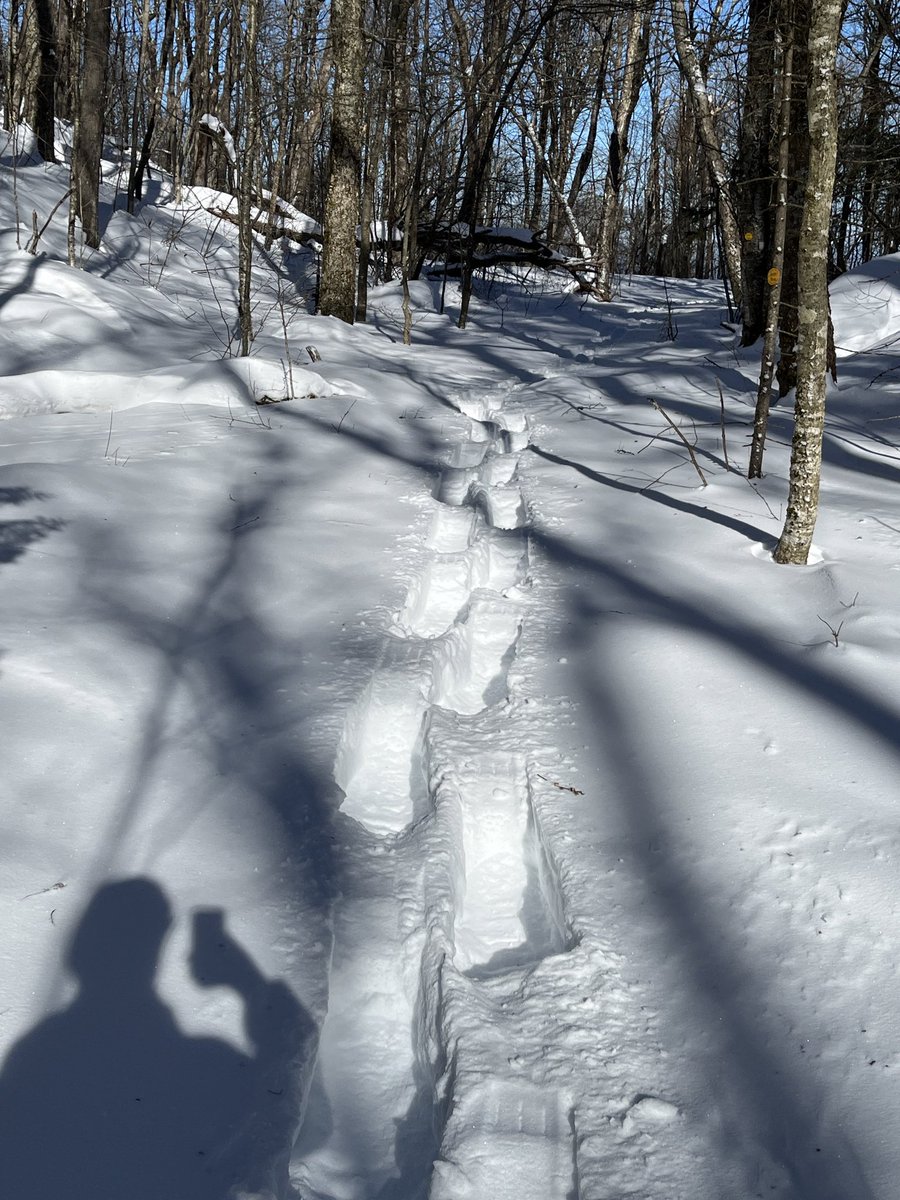 KVohs333's tweet photo. Long hiking break following an illness &amp; a family death, so nice to get out on a sunny day in the low teens to trudge through 2+ feet of snow. https://t.co/rYGSMXwS19