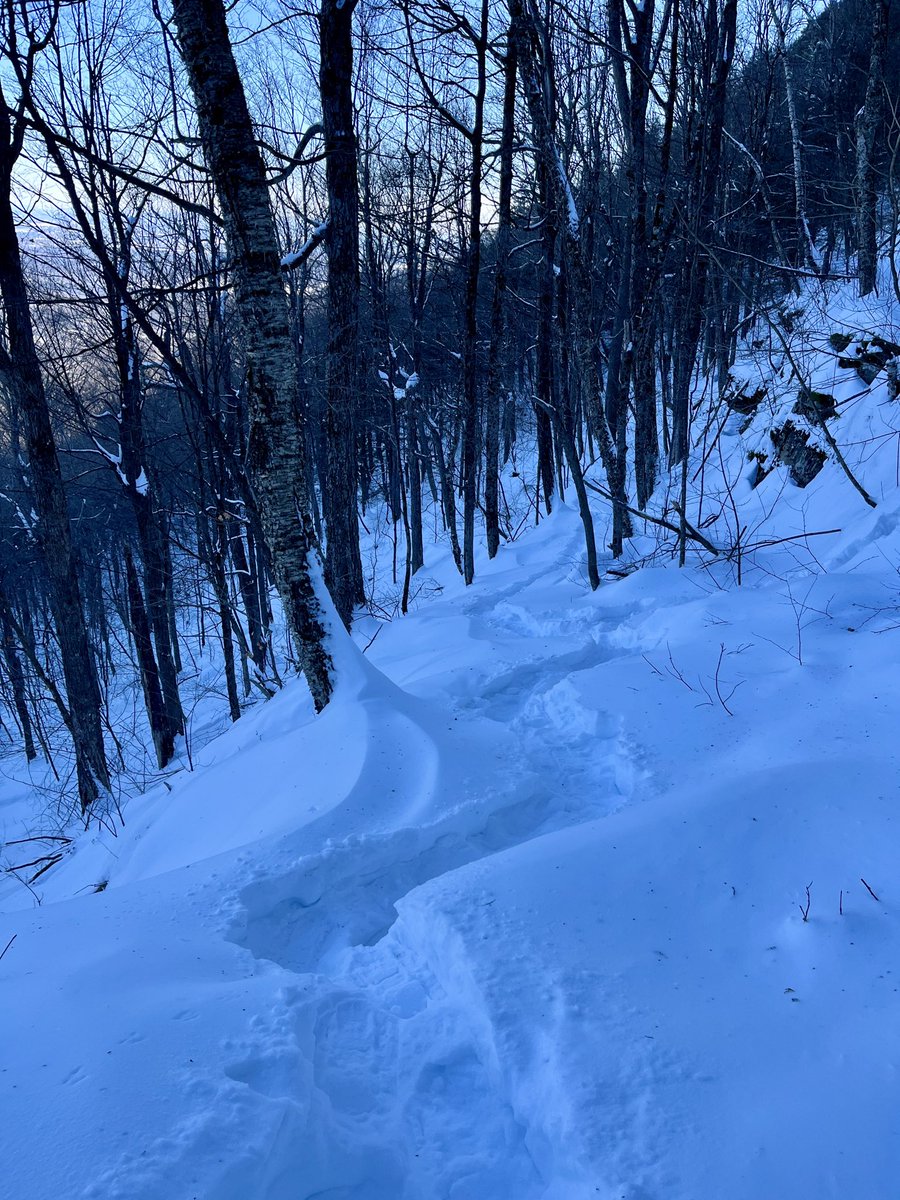 KVohs333's tweet photo. Long hiking break following an illness &amp; a family death, so nice to get out on a sunny day in the low teens to trudge through 2+ feet of snow. https://t.co/rYGSMXwS19
