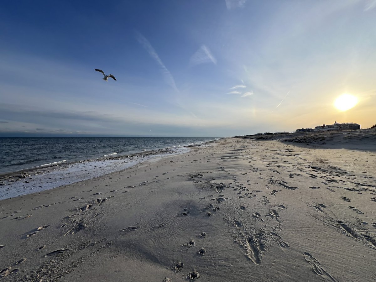 josephfdonahue's tweet image. Cold on #LBI