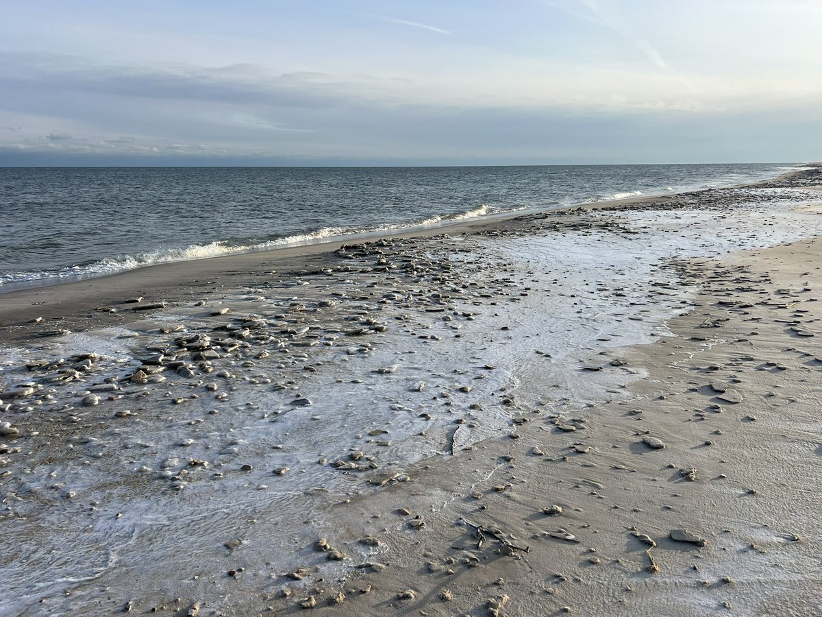 josephfdonahue's tweet image. Cold on #LBI