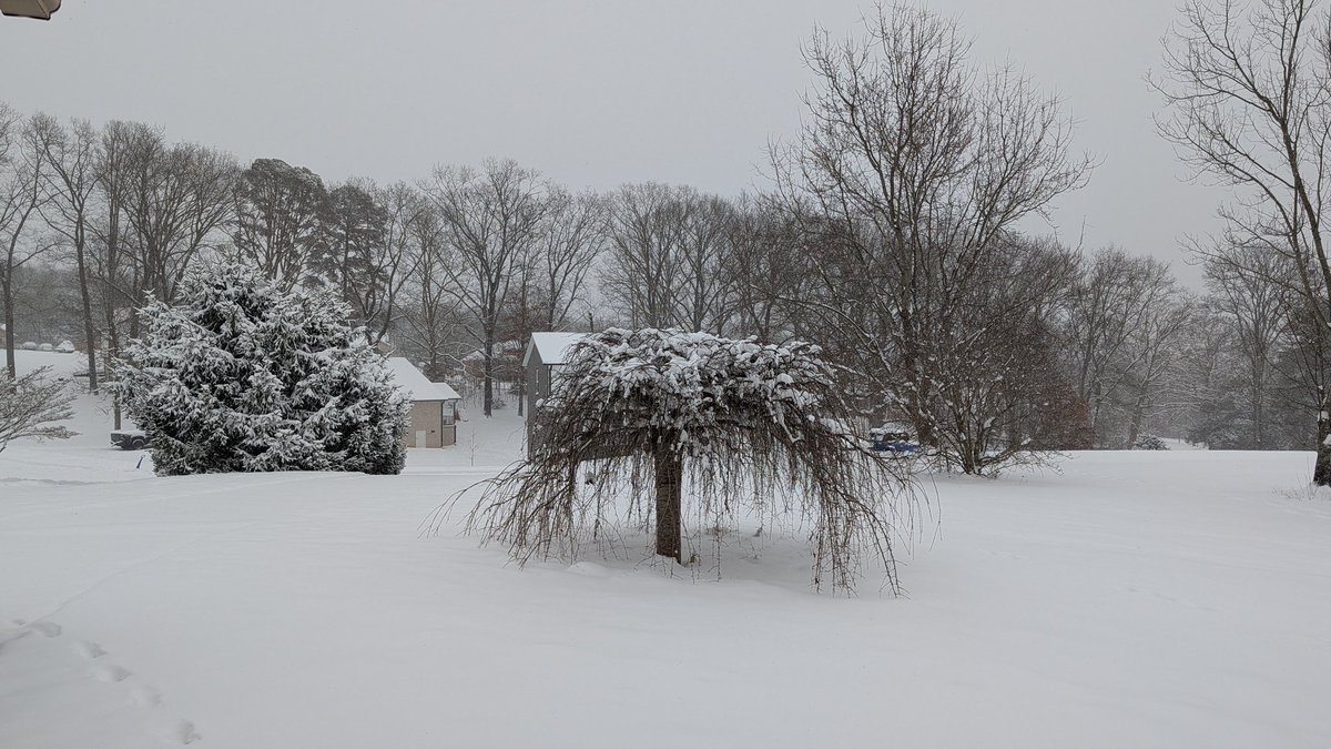 JeremyBuckles's tweet photo. Finished with 6.6" of snow in Strawberry Plains, TN. Definitely some higher than normal snow ratios for this region with this "fluffy" snow. https://t.co/0imUmI0Qek