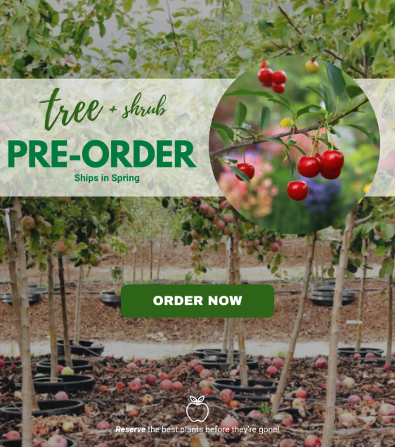 Countryside Tree Farms & Landscaping (@CSTreeFarms) / Posts / X