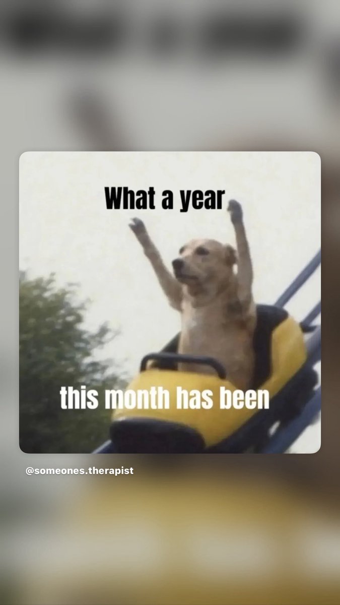 NotQuiteEdelweiss tweet media