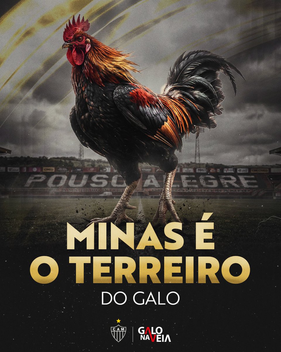 GaloNaVeia's tweet photo. Quem tem o GALO NA VEIA tá sempre em casa, MASSA😎🐓

📲 https://t.co/J1jhfRFi1p https://t.co/lrDBpJxJtP