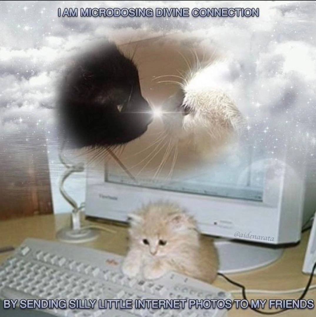 BunUnsupervised's tweet image. 🤍