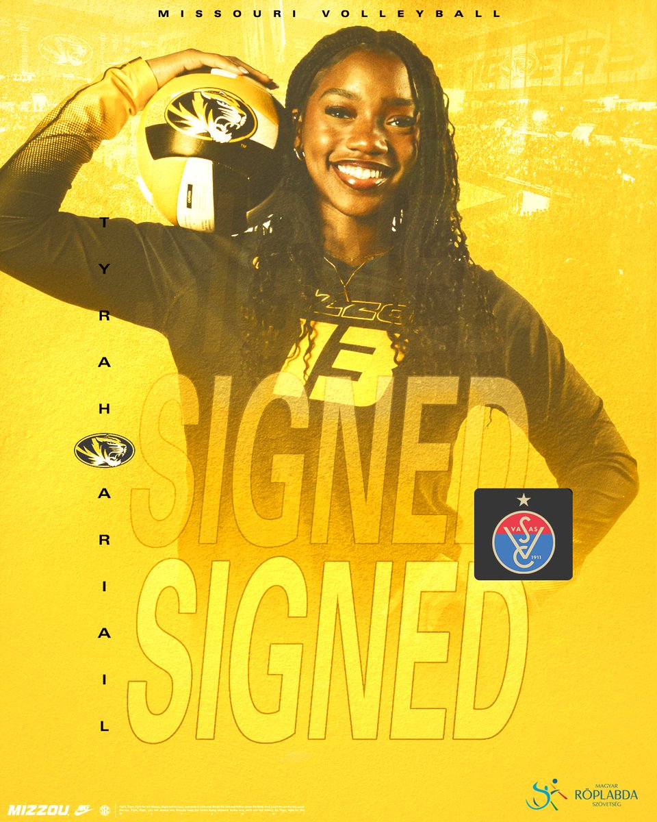 Mizzou Volleyball tweet media