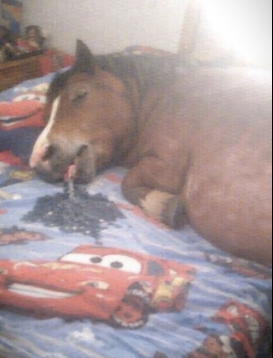 skeletonyuth's tweet image. 