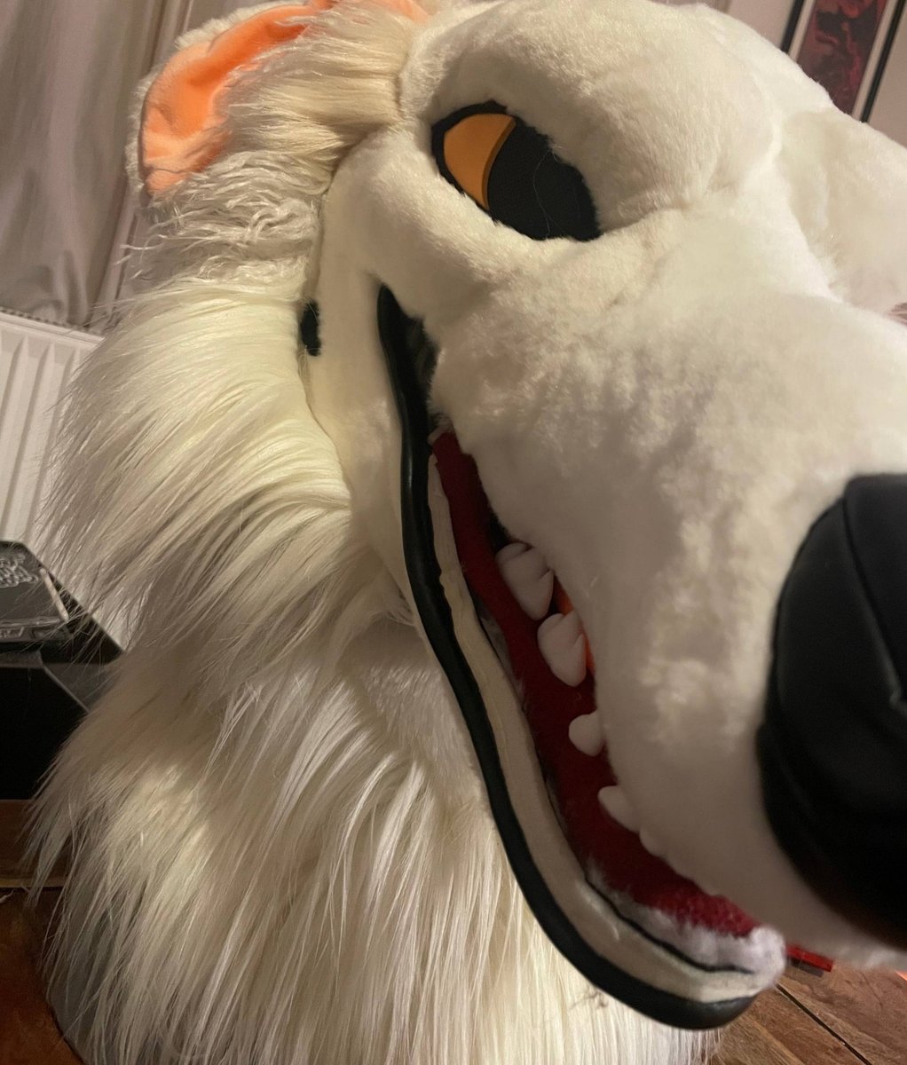 DeadDog Fursuits 🥀 tweet media