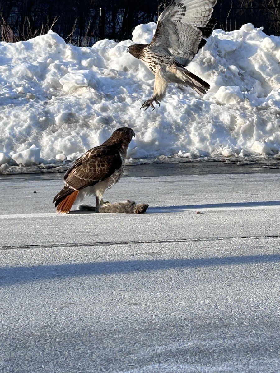 DessertBuzz tweet media