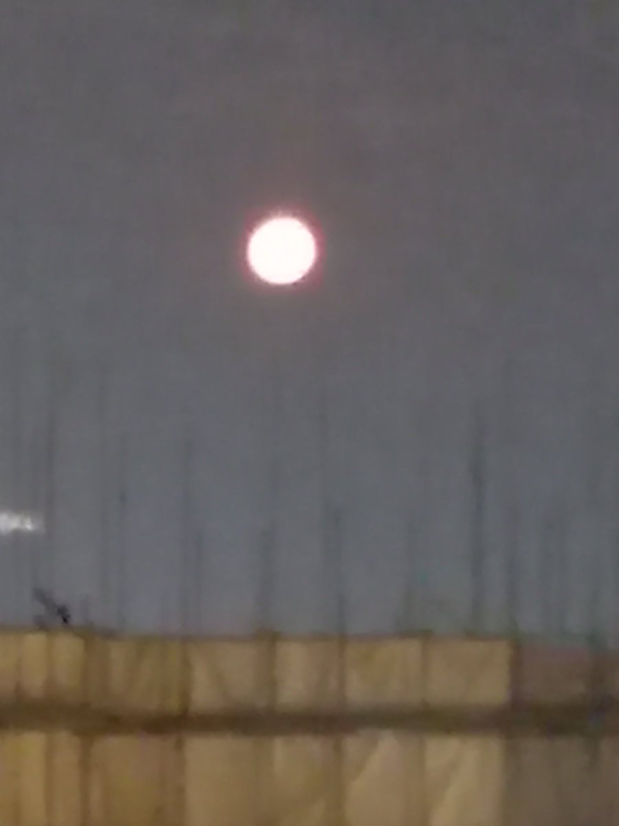 시네마언노운 tweet media