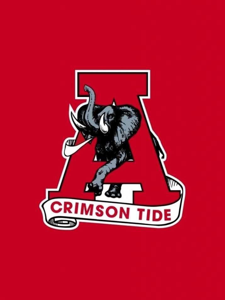 MJ Burnett tweet media