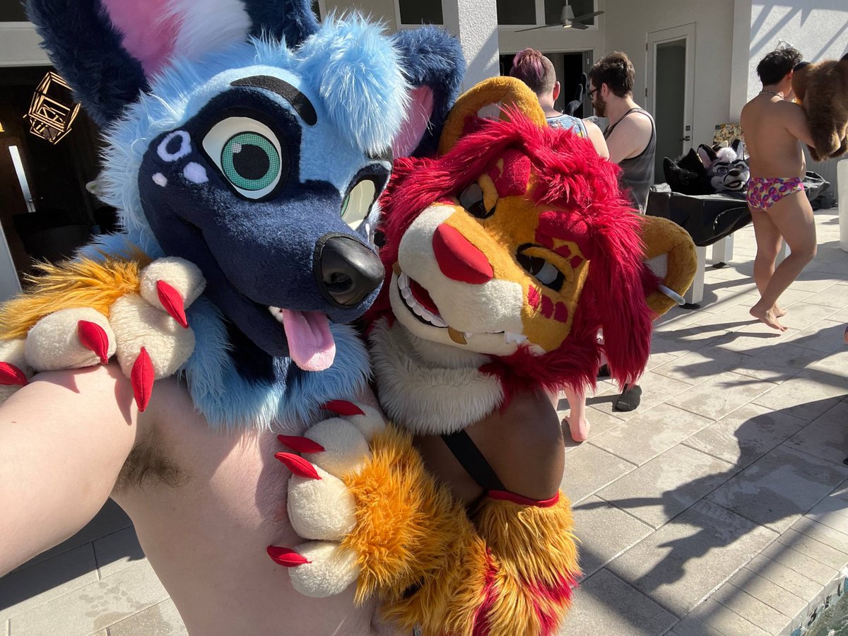 🔥Sir-Purrs-Alot 🔥 🔜 FWA, MEGAPLEX tweet media