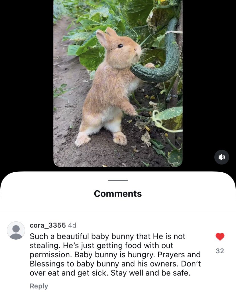 williambyerz's tweet image. Will Byers