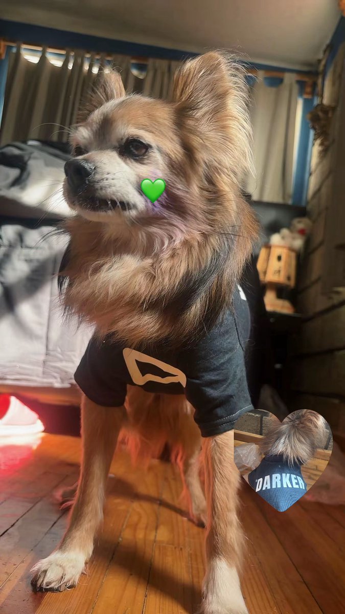 ɴɪᴜꜰꜰʟᴇ 💚 tweet media