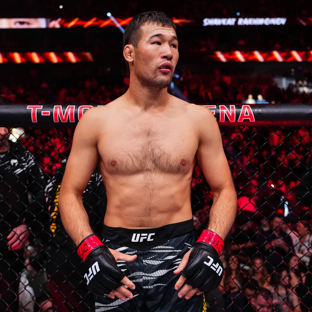 MMA Orbit tweet media