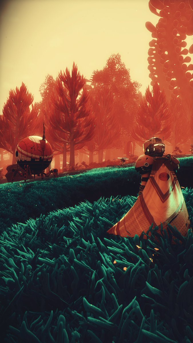 Sɴᴀᴘsʜᴏᴛs
Nᴏ Mᴀɴ's Sᴋʏ
PʜᴏᴛᴏMᴏᴅᴇ | RᴇSʜᴀᴅᴇ

#NoMansSky #VirtualPhotography #screenshot #VGPUnite #VPSAT #VPTree