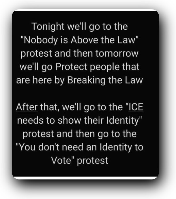 theloftusparty's tweet image. This is damn near perfect.