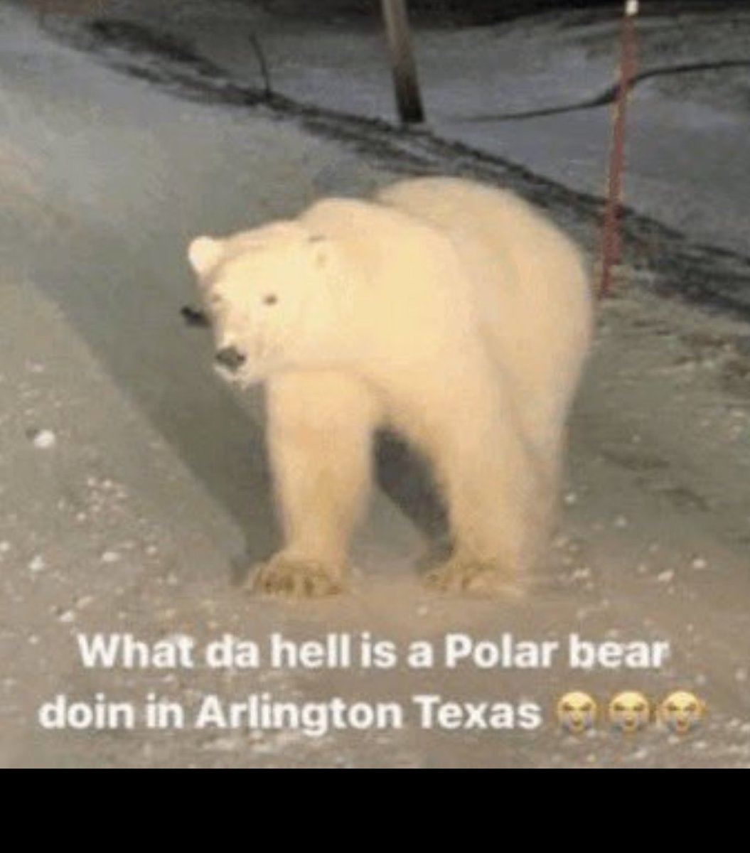 Luke bidder tweet media