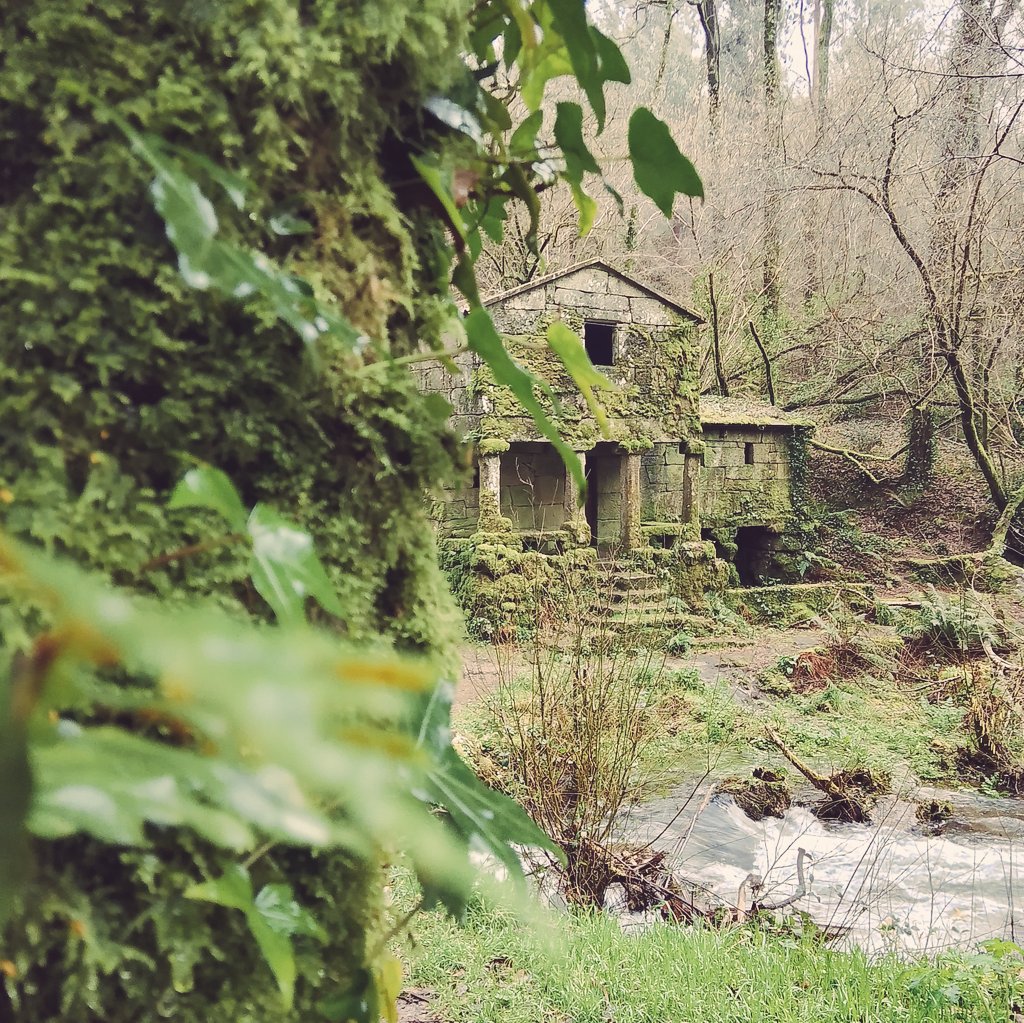 Loves_galicia 🛰️ #fainoengalego tweet media