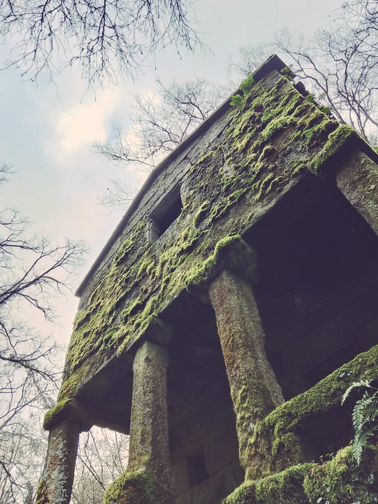 Loves_galicia 🛰️ #fainoengalego tweet media