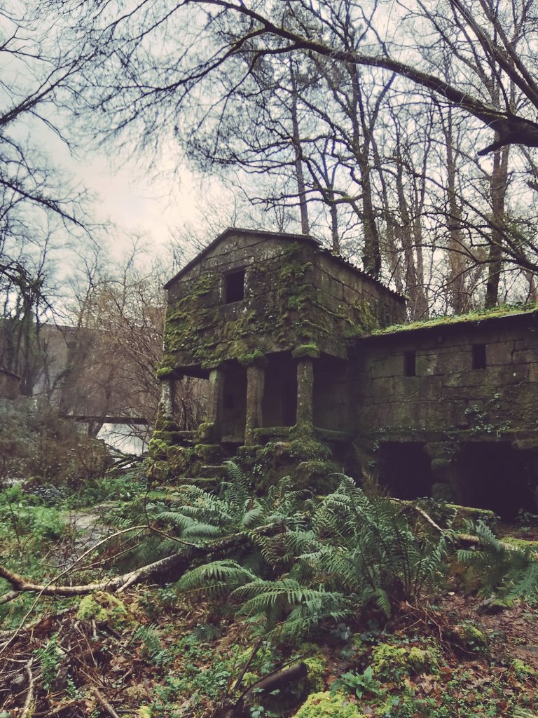 Loves_galicia 🛰️ #fainoengalego tweet media