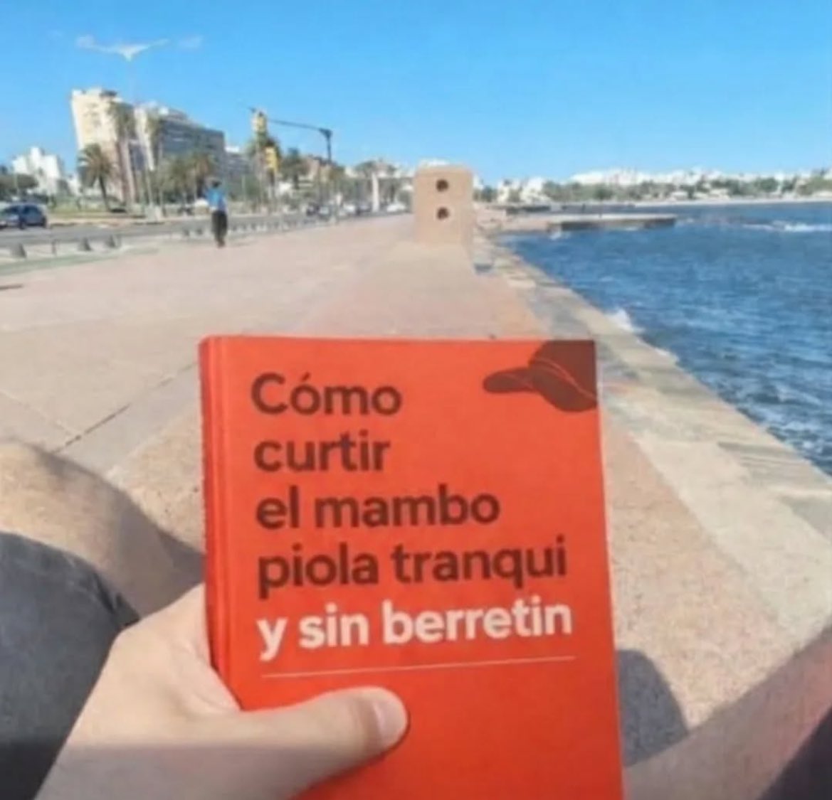 DatosCuriosos tweet media