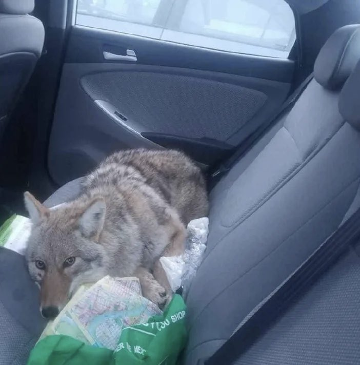 ippoyone🇺🇦ꑭ tweet media