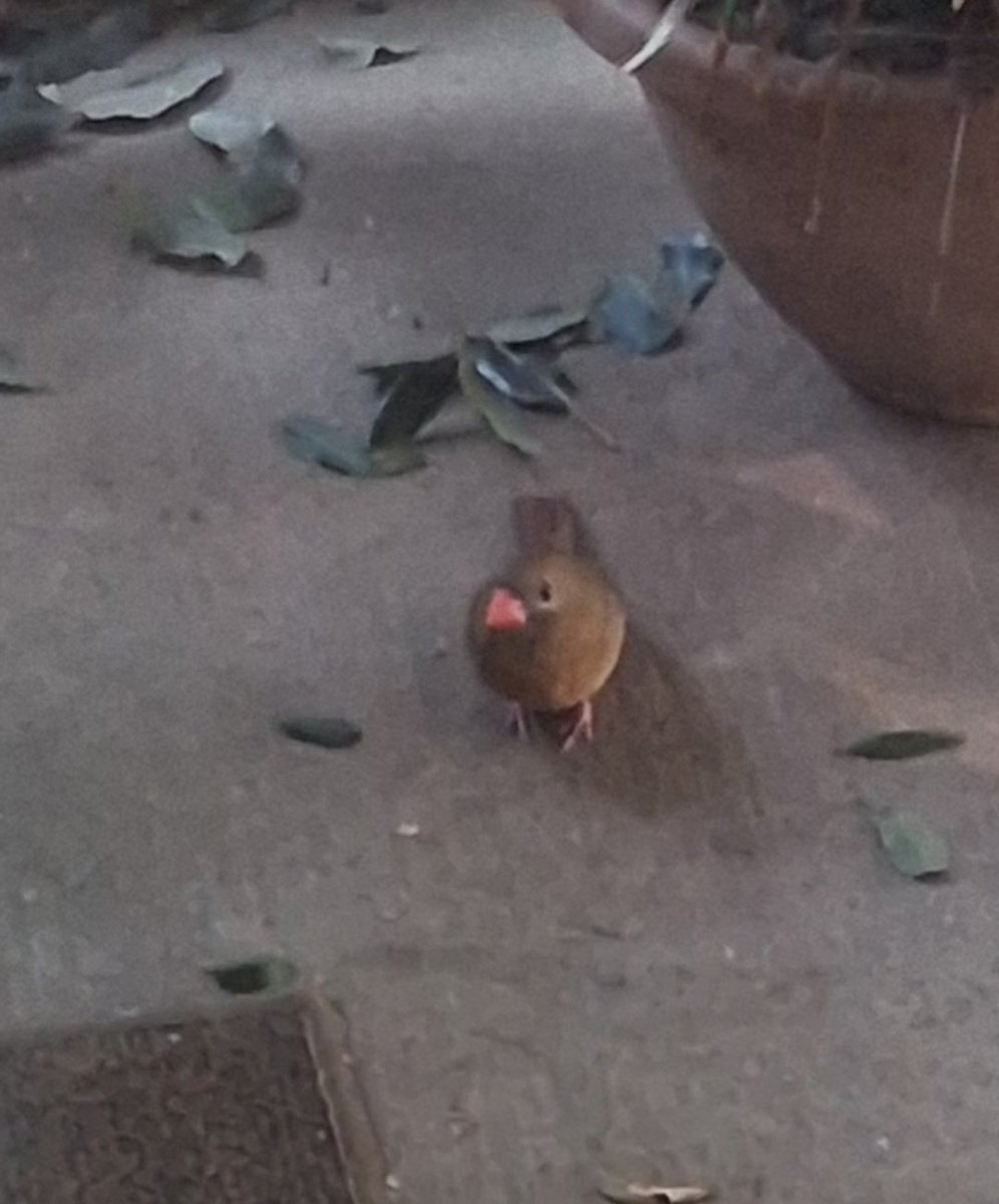 Kris Low (@kri_low) on Twitter photo 