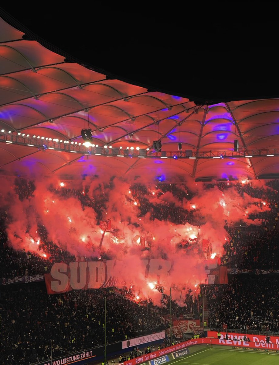 Bayern Focus tweet media