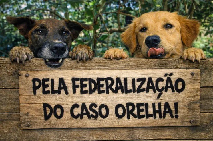 Mudei a capa da minha TL, gostaram?