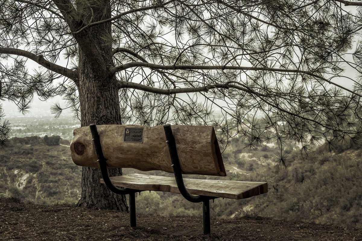 Victor Fernandes tweet media