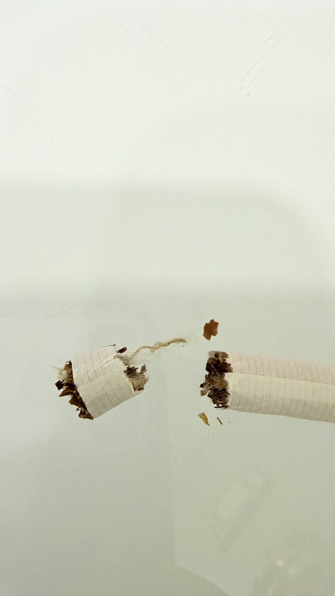 raci tunçer tweet media