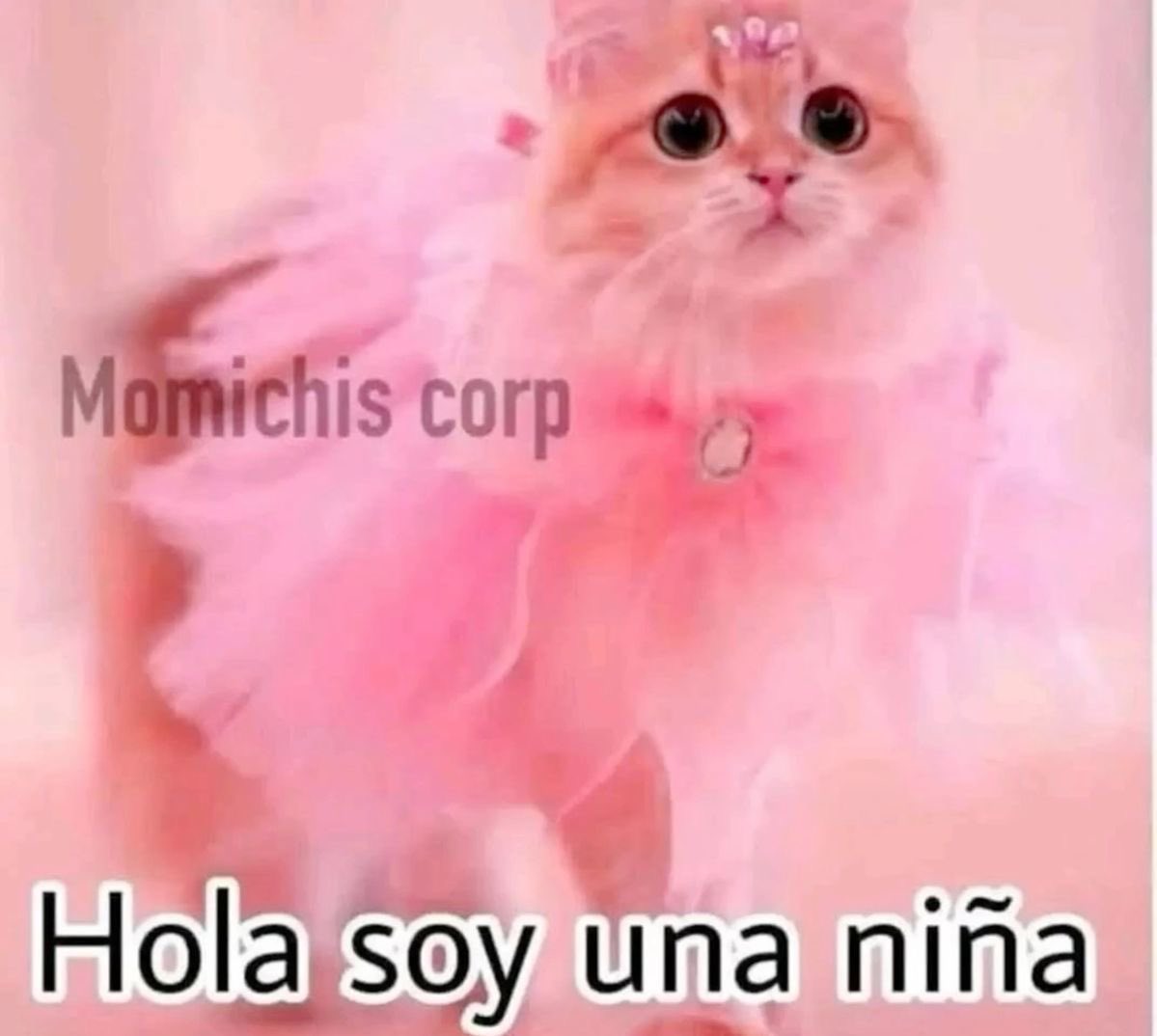 hennessy tweet media